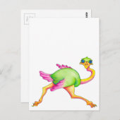 珍しいダチョウ ポストカード (正面/裏面)