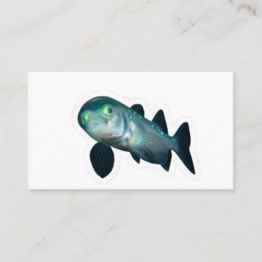 珍しいバルアイリョクダイ 深海魚 透明な頭部 シール エンクロージャーカード (正面)