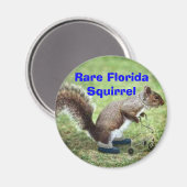 珍しいフロリダリス マグネット (正面/裏面)