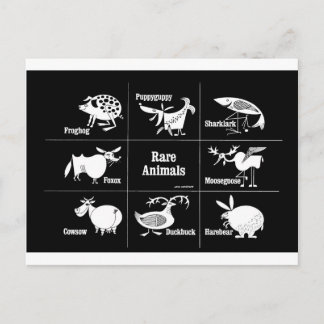 珍しい動物 ポストカード