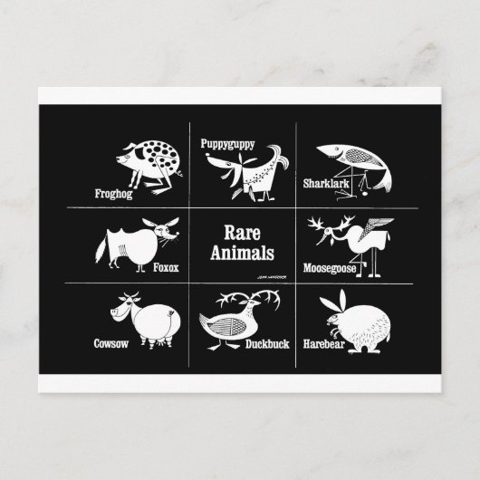珍しい動物 ポストカード (正面)