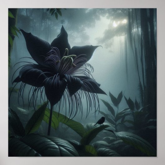 珍しい熱帯植物の中のコウモリラン ポスター (正面)