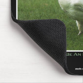 珍しい白いカラスの野生生物写真 マウスパッド (コーナー)