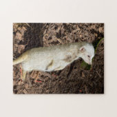 珍しい白い毛皮のマーカット ジグソーパズル (横)