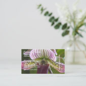 珍しい蘭の名刺 名刺 (スタンド正面)