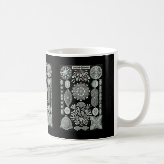 珪藻植物 コーヒーマグカップ (右)