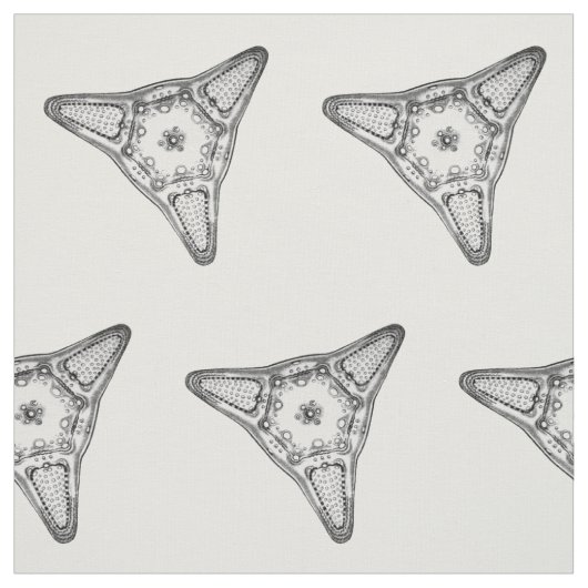 珪藻植物 ファブリック (見本)