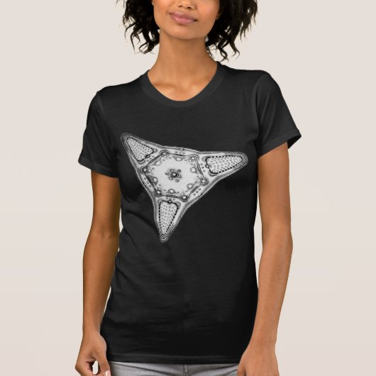 珪藻植物 Tシャツ (正面)