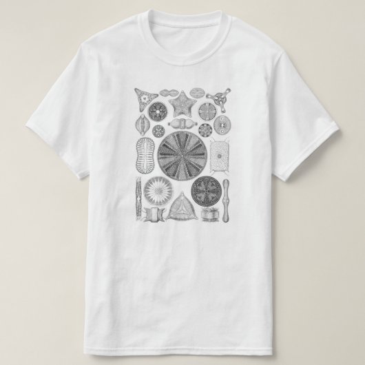 珪藻植物 Tシャツ (デザイン正面)