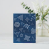 珪藻類 – 微視的な海洋生物 ポストカード (スタンド正面)