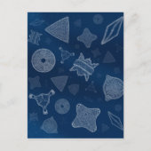 珪藻類 – 微視的な海洋生物 ポストカード (正面)