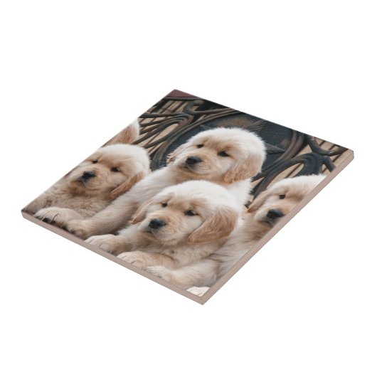 現れて下さい! 子犬 タイル (側面)