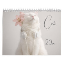 現代でかわいい猫の面白い写真