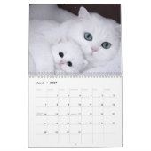 現代でかわいい猫の面白い写真 カレンダー (3月 2027)
