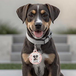 現代のオーダーメイド犬用バレンタインペットタグ ペット　ネームタグ