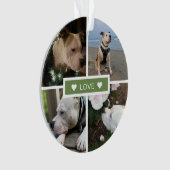 現代のペットの写真コラージュ オーナメント (正面)