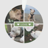 現代のペットの写真コラージュ オーナメント (正面)