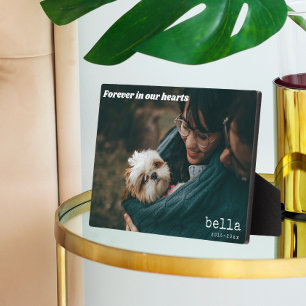 現代のペットメモリアルカスタムオーバーレイペット写真 フォトプラーク