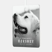 現代のペットメモリアルフォトクリスマス メタルオーナメント (正面左)