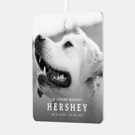 現代のペットメモリアルフォトクリスマス メタルオーナメント (正面左)