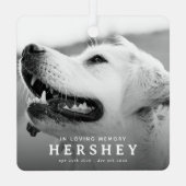 現代のペットメモリアルフォトクリスマス メタルオーナメント (裏面)