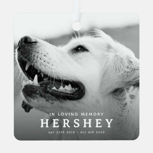 現代のペットメモリアルフォトクリスマス メタルオーナメント (裏面)
