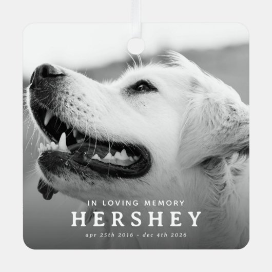 現代のペットメモリアルフォトクリスマス メタルオーナメント (正面)