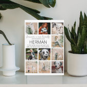 現代のペットメモリアル写真コラージュプレート フォトプラーク