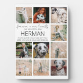 現代のペットメモリアル写真コラージュプレート フォトプラーク (正面)