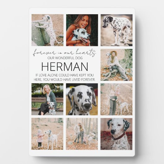 現代のペットメモリアル写真コラージュプレート フォトプラーク (正面)