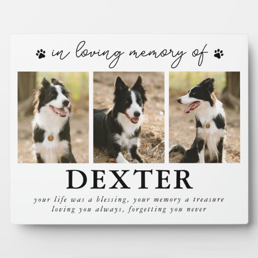 現代のペットロス追悼写真プレート フォトプラーク (正面)