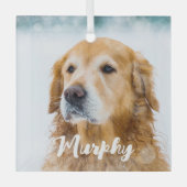 現代のペット写真パーソナライズド・ウィムジカル・ドッグ・ラバー ガラスオーナメント (正面)