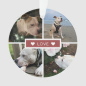 現代の共感ペット写真コラージュ オーナメント (正面)