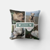 現代の共感 ペット写真 コラージュ クッション (正面)