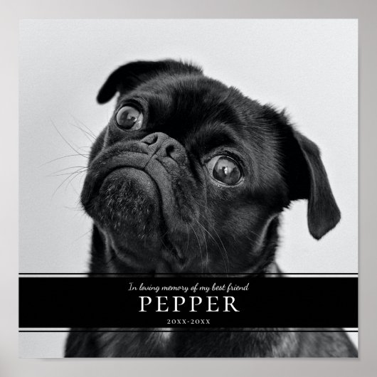 現代の愛するペットの追悼 フォトプレート ポスター (正面)