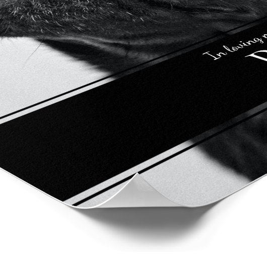 現代の愛するペットの追悼 フォト ポスター (角)