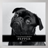 現代の愛するペットの追悼 フォト ポスター (正面)