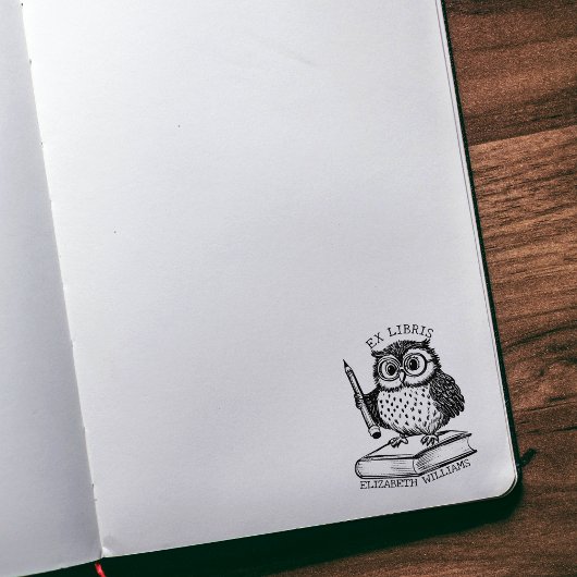 現代の本のしおり オウルと本、カスタム図書館 ラバースタンプ