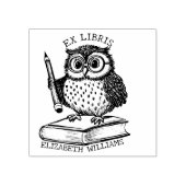 現代の本のしるし オウルと本、カスタム図書館 ラバースタンプ (インプリント)