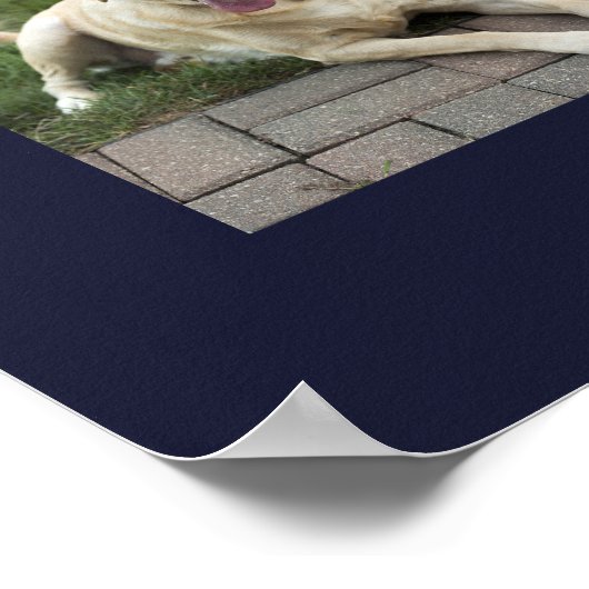 現代の12枚の犬の写真を使ったパーソナライズされたコラージュ ポスター (角)