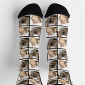 現代の2匹の猫の写真コラージュグリッド ソックス (上部)