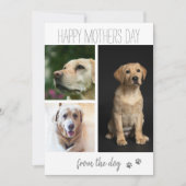 現代の3枚の写真の コラージュ｜愛犬から シーズンカード (正面)