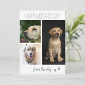 現代の3枚の写真の コラージュ｜愛犬から シーズンカード (スタンド正面)