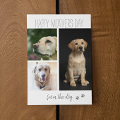 現代の3枚の写真の コラージュ|愛犬から シーズンカード