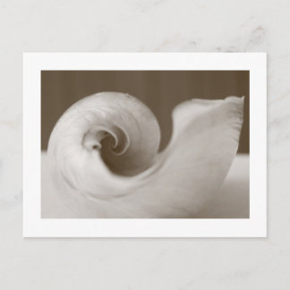 現代アート ポストカード