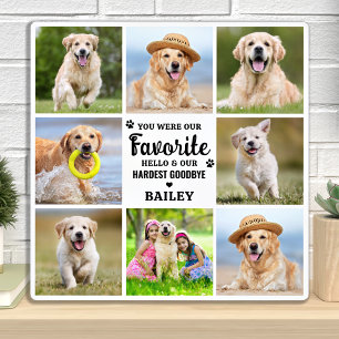 現代的な8枚の写真コラージュペット犬ロス追悼 フォトプラーク
