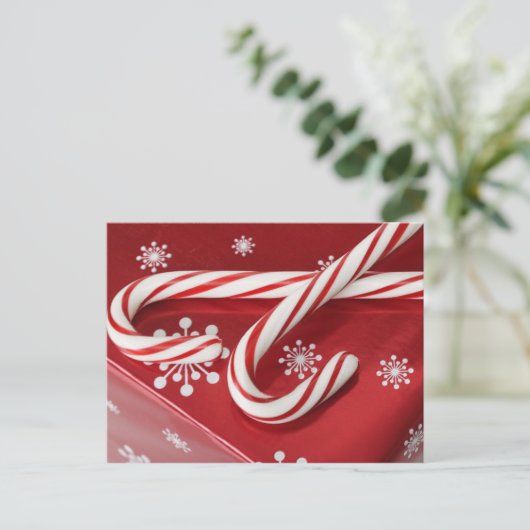 現在のキャンディ缶 ポストカード (スタンド正面)