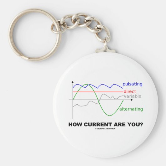 現在の状況は？（各種電流物理学） キーホルダー (正面)
