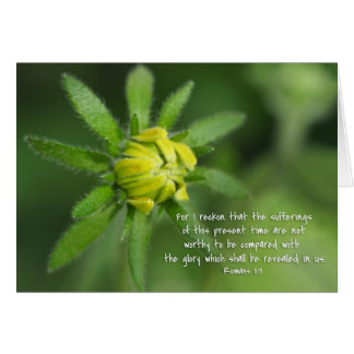 現在の苦しみローマ8:18黄色のデイジー