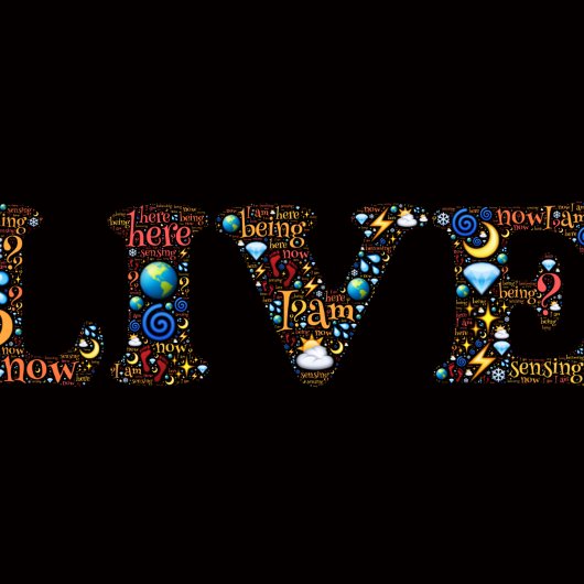 現在の言葉で生感動的きる クッション